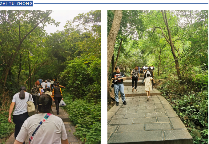 ����̬�����湤�������������j9����վ������ڿƼ��������ɽ�Բ����Ļ