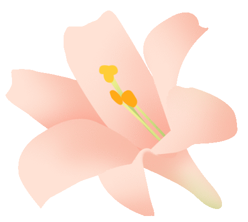 【动态】春日有约 遇见“莓”好—— 安徽j9国际站官网入口女神节采摘活动 【动态】春日有约 遇见“莓”好—— 安徽j9国际站官网入口女神节采摘活动